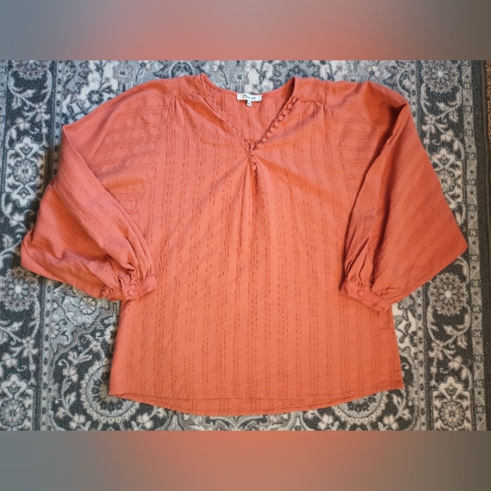 Madewell Embroidered Peasant Top Small Terracotta Button Balloon Cottagecore